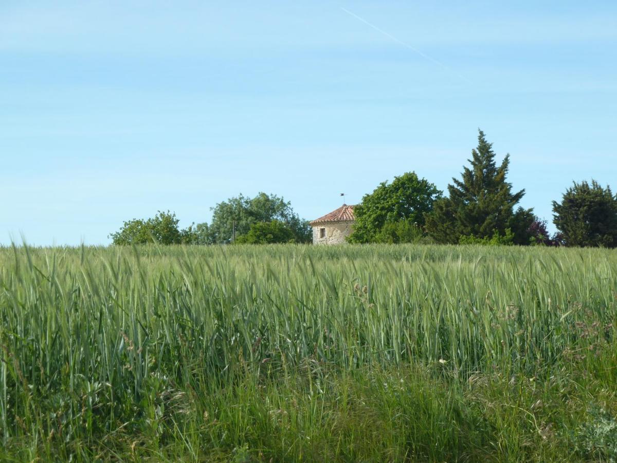 Bed and Breakfast Chateau De Puissentut Homps  Екстер'єр фото