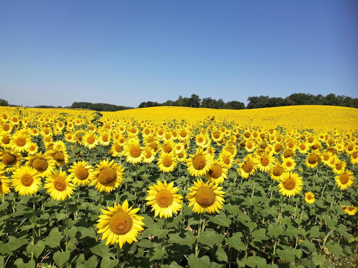 Bed and Breakfast Chateau De Puissentut Homps  Екстер'єр фото