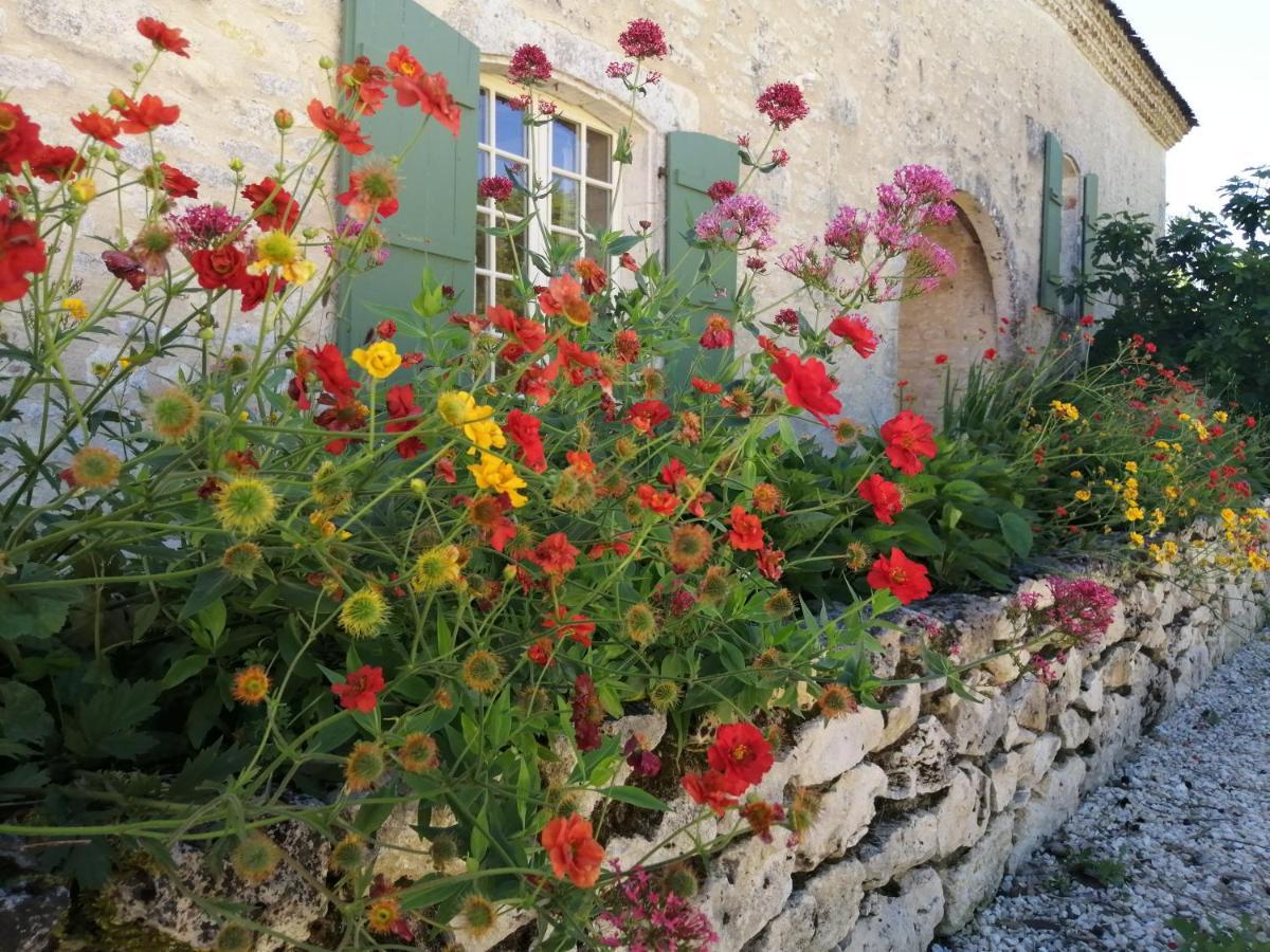 Bed and Breakfast Chateau De Puissentut Homps  Екстер'єр фото